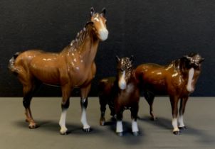 Beswick - A Beswick bay coloured stallion,22cm high, Beswick brown shire horse,15cm high, Shetland