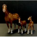 Beswick - A Beswick Stanley horse, 20cm high, conforming two foals (3)