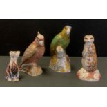 Royal Crown Derby Paperweights - a Cockatoo, gold stopper; standing kitten, silver stopper; Meerkat,