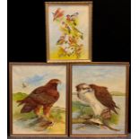 Robert Morley (Derbyshire artist, early 20th century), a pair, Golden Eagle, and Osprey, each 61cm x