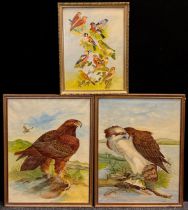 Robert Morley (Derbyshire artist, early 20th century), a pair, Golden Eagle, and Osprey, each 61cm x