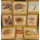 Archibald Thorburn (1860 - 1935), after, British Wildlife, a set of nine lithographs, gilt frames,