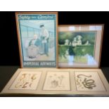 Pictures and prints - Natural History interest - a framed triptych, marine life, Jellyfish,