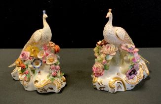 A Robert Bloor Derby model gilded peacock, encrusted derby posies on scroll plinth,17cm,c.1830 ;