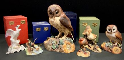 A Royal Crown Derby tawny owl, painted by A.S, another smaller brown owl, others include; 'Bird of