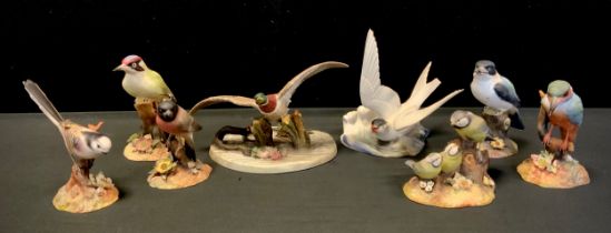 Royal Crown Derby birds including; Kingfisher, painted by H. Dudley, Long tailed tit, painted by