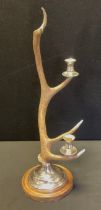 A Five-point Red Deer antler, mounted as a table candelabra, silver-metal and turned wooden base,