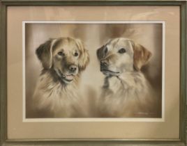 Peter Holloway, 20th century, Golden Retriever and Labrador, Portia and Tara, signed, pastel, 45.5cm