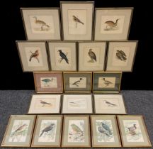 A set of ten 19th century ornithological engravings, hand-coloured, Great Bustard, Bittern,