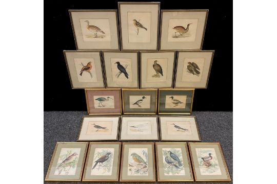 A set of ten 19th century ornithological engravings, hand-coloured, Great Bustard, Bittern,