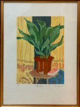 Rosalind Forster, by and after, Aspidistra, signed, dated ‘87, and titled in pencil to margin,