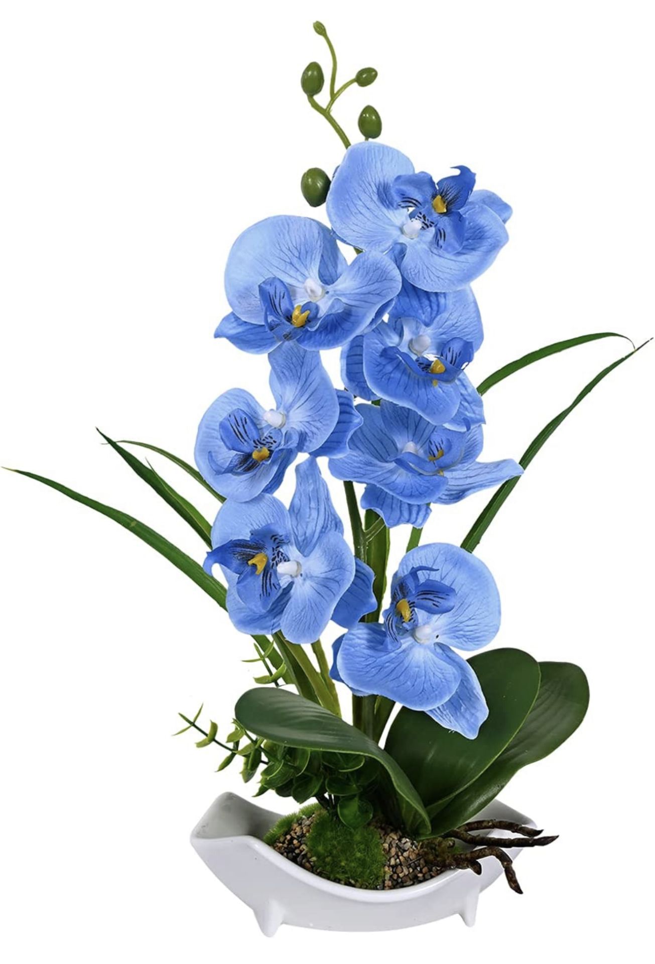 RRP £24.99 Orchid Plant Artificial Blue Orchid Faux Flowers In Vase