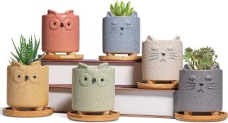 T4U 7CM Cute Animal Plant Pots, Small Animal Planters with Saucer Set of 6 RRP £19.99