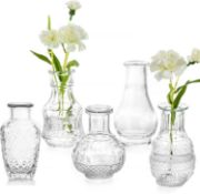 Hewory Small Glass Vase for Flowers Glass Set of 5, Mini Relief Vases RRP £19.99