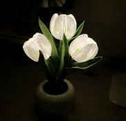 RRP £22.99 Tulip Night Light with Ceramic Vase Simulation Tulip LED Table Lamp