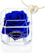 RRP £28.99 A Real Rose That Lasts Years Eternal Petals with 18ct Gold Plated Necklace in Gift Box