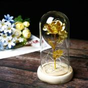 RRP £19.99 TINYOUTH Light Up Rose in Glass Dome, 24K Gold Rose with 20 LEDs String Light