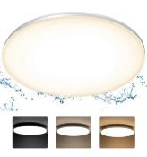 Orein Ceiling Lamp LED Ceiling Light 30cm IP44 Impact-Resistant Wall Light RRP £19.99