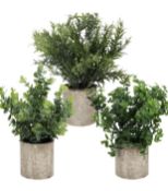 Belle Vous 3-Pack Potted Artificial Eucalyptus Plants, Small Faux Plants