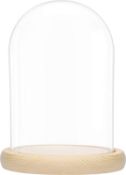 RRP £17.99 BELLE VOUS Large Glass Dome Cloche Bell Jar with Natural Wooden Base - 20cm