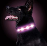 RRP £36 Set of 3 x LED Dog Collar USB Rechargeable Waterproof Light Up Pet Collar Reflective