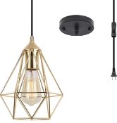 Aolala Pendant Light Fitting Plug In Gold Industrial Ceiling Light with 15FT Cord
