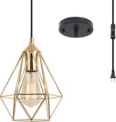 AOLALA Pendant Light Fitting Plug in, Gold Industrial Ceiling Light with 15ft Cord