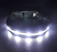 RRP £48 Set of 4 x LED Dog Collar USB Rechargeable Waterproof Light Up Pet Collar Reflective