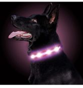 RRP £72 Set of 6 x LED Dog Collar USB Rechargeable Waterproof Light Up Pet Collar Reflective