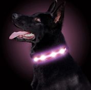 RRP £72 Set of 6 x LED Dog Collar USB Rechargeable Waterproof Light Up Pet Collar Reflective