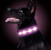 RRP £60 Set of 5 x LED Dog Collar USB Rechargeable Waterproof Light Up Pet Collar Reflective