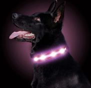 RRP £45 Set of 5 x LED Dog Collar USB Rechargeable Waterproof Light Up Pet Collar Reflective