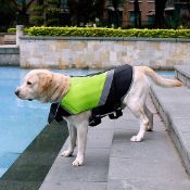 RRP £21.99 Tineer Dog Life Jacket Vest with Extra Padding Saver Safety Reflective Swimsuit, XL