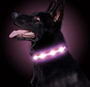 RRP £36 Set of 4 x RRP £45 Set of 5 x LED Dog Collar USB Rechargeable Waterproof Light Up Pet Collar