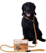 RRP £45 Set of 3 x Total Pet Slip Lead for Dogs Rope Anti Pull Dog & Puppy Training Lead