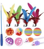 RRP £100 Set of 10 x Speedy Panther 13-Pieces Cat Feather Toys Interactive Cat Toys
