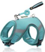 Approximate RRP £200 Collection of 19 x Dog Harnesses Pet Harnesses with Leashes