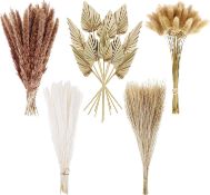 Collection of Fuyamp Dried Pampas Grass Decor, Natural Color Bunny Tails Grass Fluffy Pampas Grass