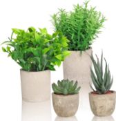 Cymax 4 Packs Mini Potted Artificial Plants Rosemary Pea leaf Grass Small Succulents Plants Greenery