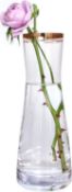 Winsterch 25cm Clear Glass Vase,Transparent Vase Handmade Decorative Vase
