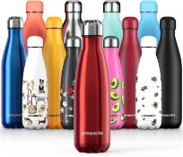 Proworks Stainless Steel Water Bottle, BPA Free Vacuum Insulated Metal Water Bottle 1Litre
