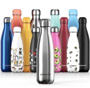 Proworks Stainless Steel Water Bottle, BPA Free Vacuum Insulated Metal Water Bottle 500ml