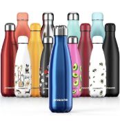 Proworks Stainless Steel Water Bottle, BPA Free Vacuum Insulated Metal Water Bottle, 750ml