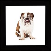 RRP £44.99 Snapezo Pack of 3 Black 20x20 cm Instagram Frame, Aluminum Profile, Front-Loading Snap