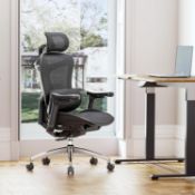 RRP £329 SIHOO Doro C300 Ergonomic Office Chair with Ultra Soft 3D Armrests, Dynamic Lumbar