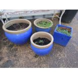 4 Glazed ceramic garden pots with contents. Largest H32cm approx