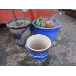 3 Glazed ceramic garden pots with contents. Largest H43cm approx