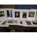 A collection of photographs mounted on boards