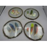 4 x plaques of feathers encased in glass 17cm dia