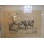B Holland 1897 pencil drawing of cattle 70x57cm